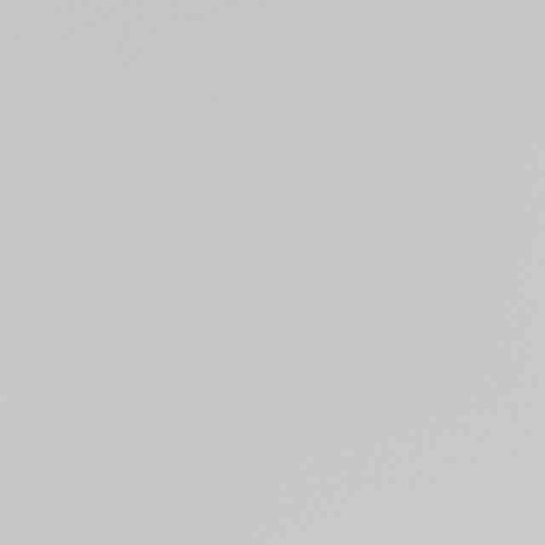 North84 travel short light grey